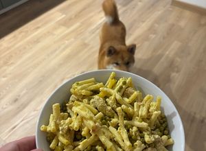 Une photo de Pâtes au Curry