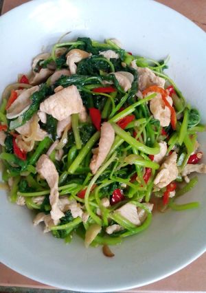 Foto resep Ayam Tumis Bayam Saus Tiram