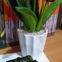 รูปของ Sushi isi sosis