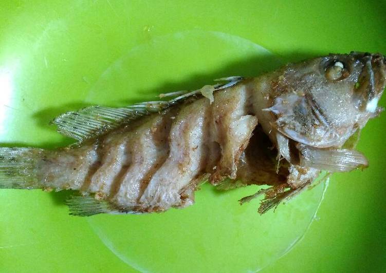 Resep Ikan Goreng "Aja" oleh Ala Anak Kosan - Cookpad