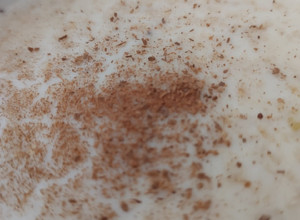 Una foto de Desayuno: avena en hojuelas con leche y canela 🥣