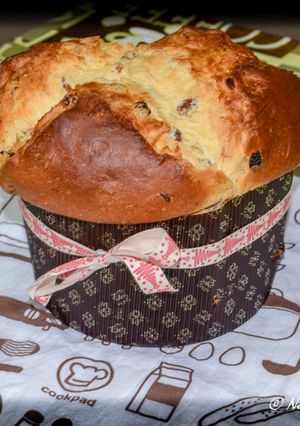A picture of Homemade Panettone.