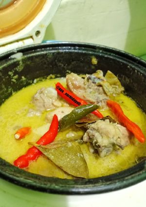 Foto resep Ayam Kuah Santan (masak di Rice Cooker)