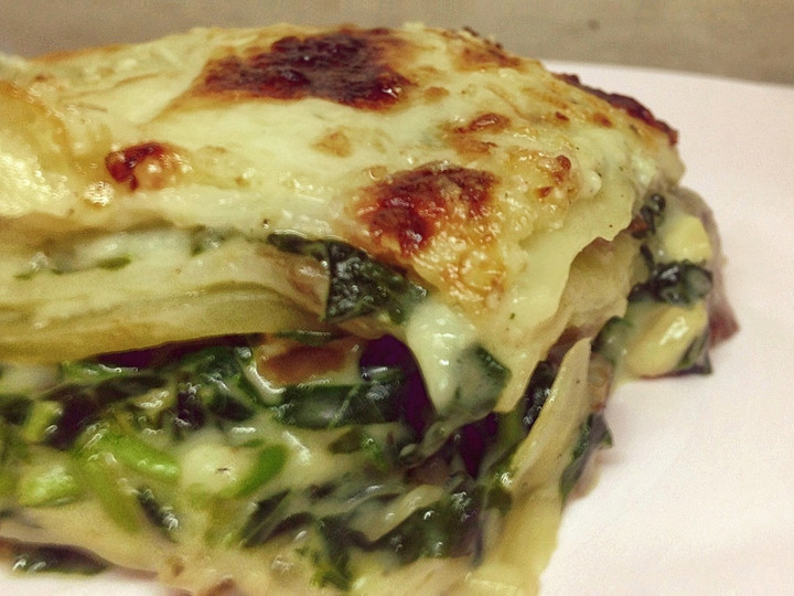 Resep Creamy Lasagna with Spinach Mushroom Gratin and Chicken Leftover Bahan Sederhana