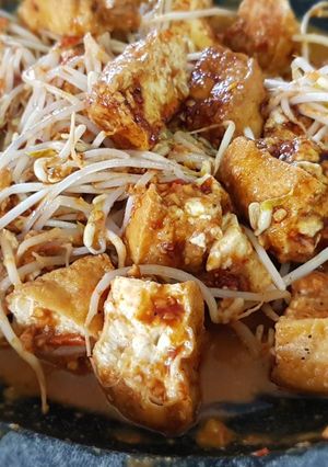 A picture of Tahu Tek (Fried Tofu and Bean Sprout With Peanut Sauce).