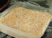 Gambar cheesekut nestum