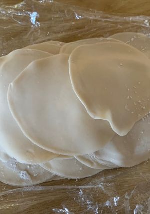 A picture of Dumpling Wrapper.