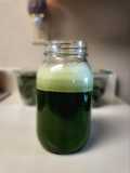 Green Juice 100%