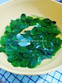Foto resep Mamaci Sayur Bening Kelor