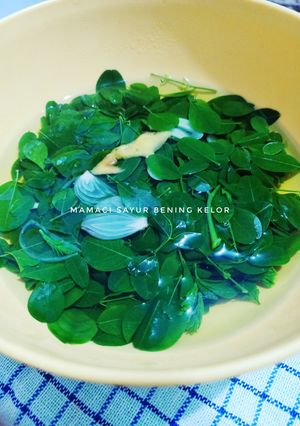 Foto resep Mamaci Sayur Bening Kelor