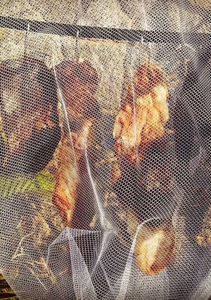 Foto de Charque de Ponta de Peito
