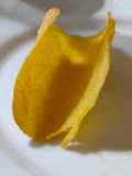 Tacos (solo il guscio)