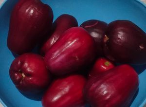 Foto resep Setup jambu bol
