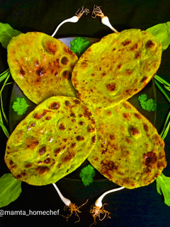 હરિયાળી નાન (Hariyali Naan Recipe In Gujarati) રેસીપી મુખ્ય ફોટો