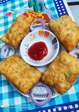 A picture of Noodle spring roll.