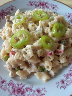 Tejszínes csirkemell ragu recept fotója