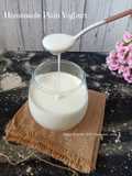 Homemade Plain Yoghurt