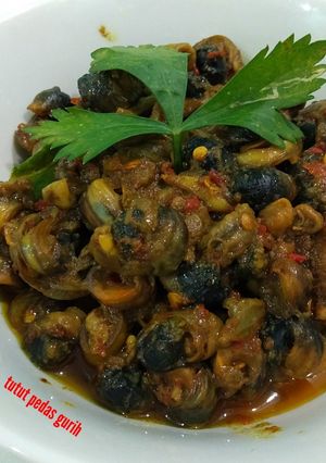 Foto resep Tutut pedas tanpa cangkang