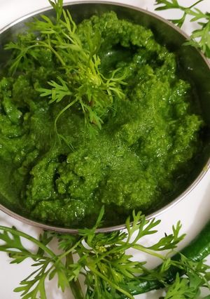 आंबला की चटनी (Amla ki chutney recipe in Hindi) रेसिपी मुख्य फोटो