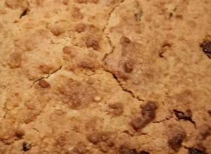 Une photo de Gâteau flocons d’avoine et raisins secs sans farine sans oeufs sans beurre