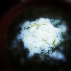 A picture of Malai se Makhan bnany ka tareeka..