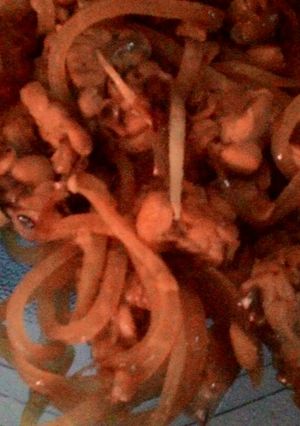 Foto resep Tumis tempe pepaya muda