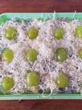 Salad Buah Anggur
