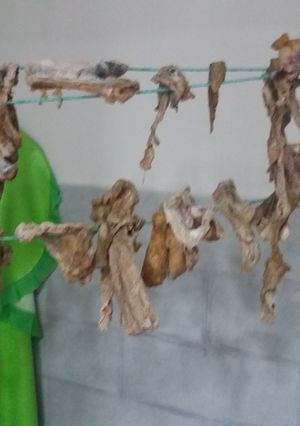 صورة لوصفة القديد والخليع