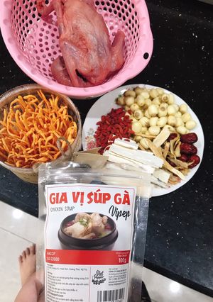 Hình của món Bồ câu tiềm nấm Đông trùng hạ thảo.