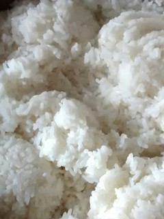 Foto resep Nasi putih aroma daun pandan