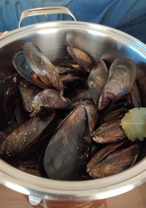 Una foto de Mejillones o cloxinas al vapor