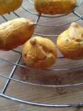Tomato Parmesan Gougères