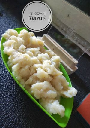 Foto resep Tekwan Ikan Patin
