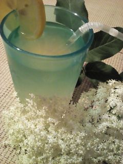 Bodzaszörp (házilag) recept fotója