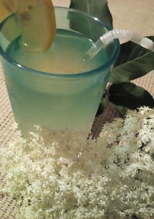 Bodzaszörp (házilag) recept fotója