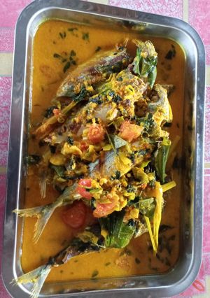 Foto resep Ikan Oci Woku