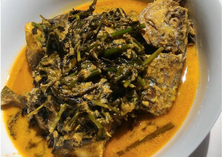 Cara membuat Gulai Pakis Ikan Kembung Sederhana Untuk Jualan