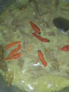 Foto resep Sayur lodeh nangka muda (gori)