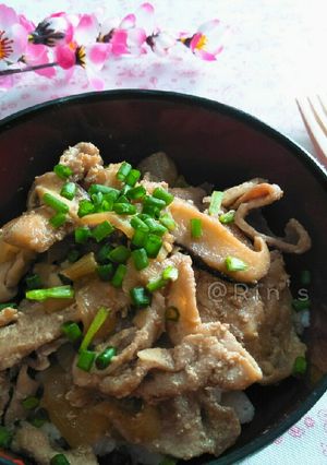 A picture of Pork and Shiitake Rice Bowl.
