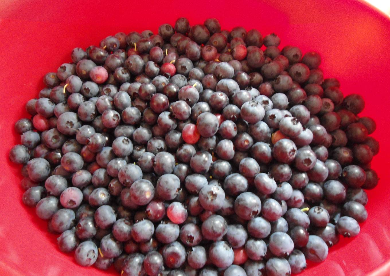 Blueberry Dumpling