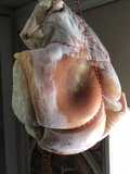 California Farm Prosciutto Ham
