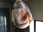 A picture of pork shoulder ham