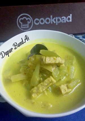 Foto resep Sayur Labu Siam Tempe