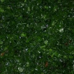 A picture of Fried sukuma wiki.