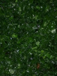 A picture of Fried sukuma wiki.