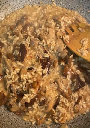 A picture of Mushroom Risotto.