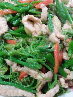龍鬚菜炒肉絲 的食譜成品照片