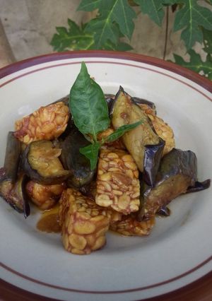 Foto resep T2 terong tempe tumis saos tiram