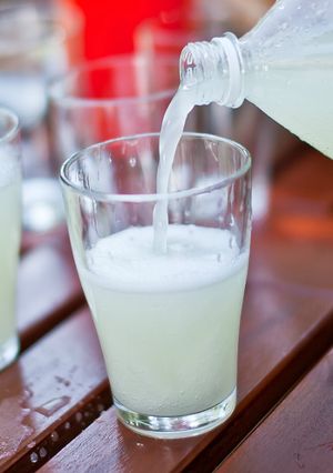 Házi gyömbérsör recept fotója