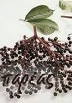 Φωτογραφία της συνταγής Μαρμελάδα ζελές ζαμπούκου